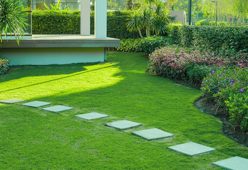 wake forest plush lawn maintenance and landscaping